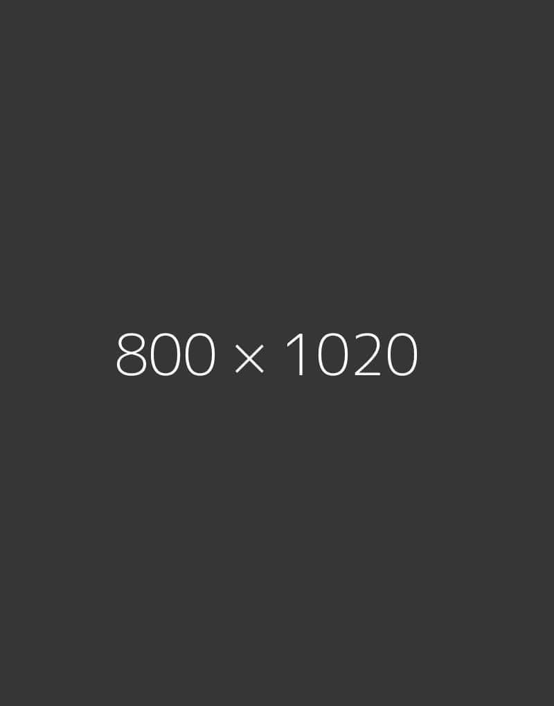 hongo 800×1020-d-ph